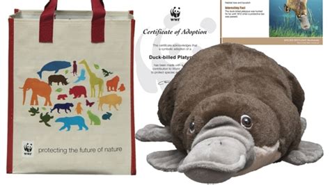 charity gift vouchers for christmas|World Wildlife Fund .